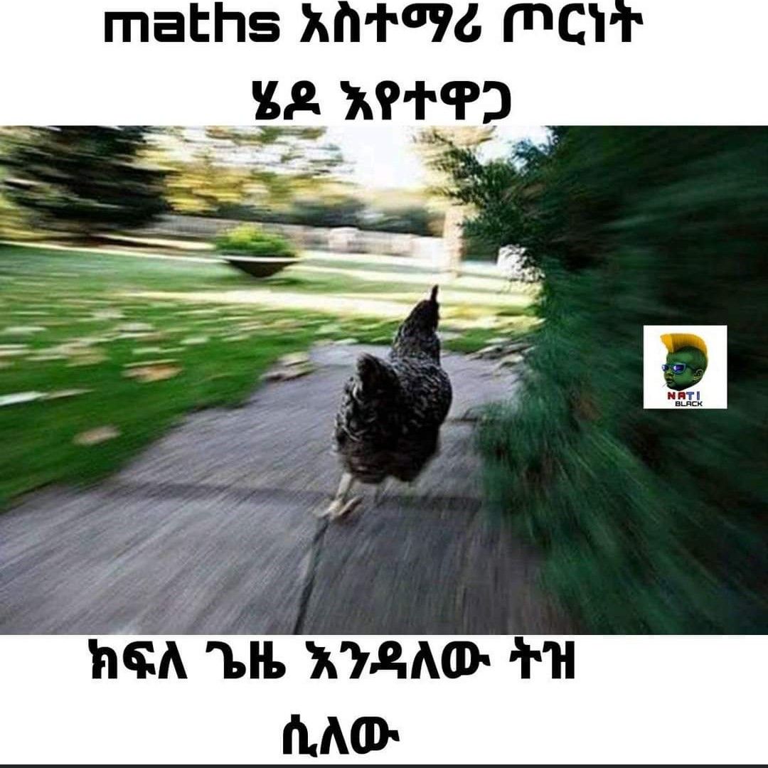 a chicken is running down the road in the middle of the picture